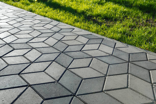 Best Driveway Paving Contractor  in Eureka Springs, AR
